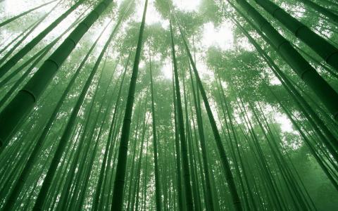 风景图片 _ 第(15)张