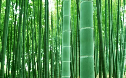风景图片 _ 第(17)张