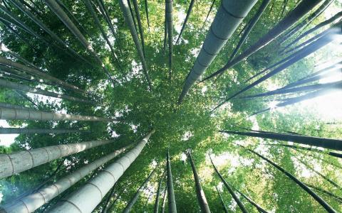 风景图片 _ 第(20)张
