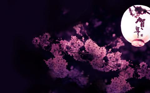 春节图片 _ 第(9)张