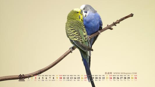 高清最新卡通电脑pc小动物的夏天萌系手绘壁纸第2张