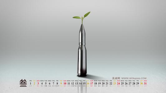日历壁纸图片 _ 第(5)张