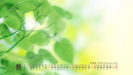 图片 _ 第(5)张