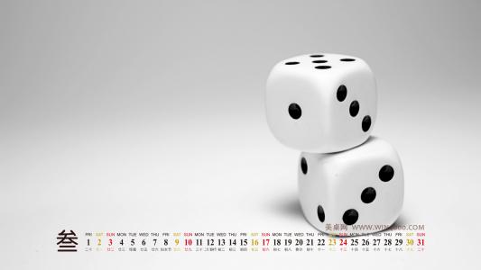 图片 _ 第(7)张