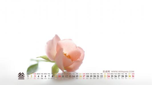 图片 _ 第(12)张