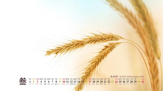 图片 _ 第(11)张