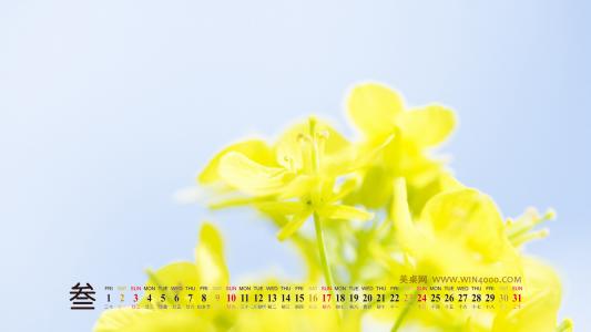 图片 _ 第(13)张