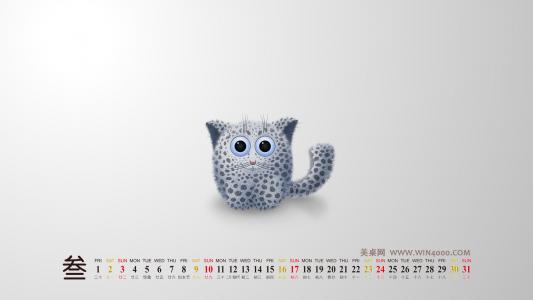 水母：神奇的海洋生物图片第5张