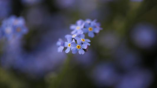 图片 _ 第(24)张