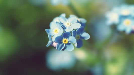 图片 _ 第(26)张