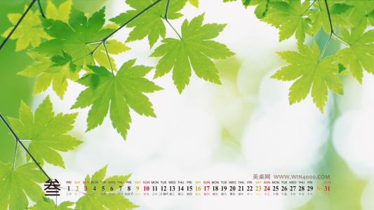 第3张