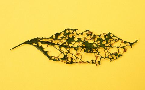 图片 _ 第(10)张