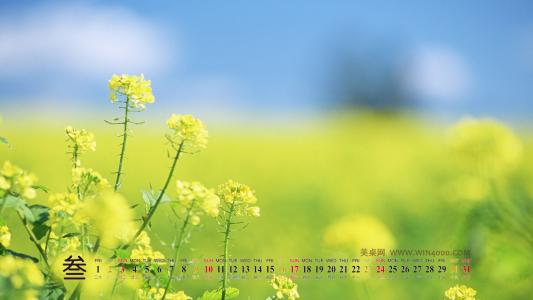 2013年3月日历壁纸之美丽的国外风景第0张