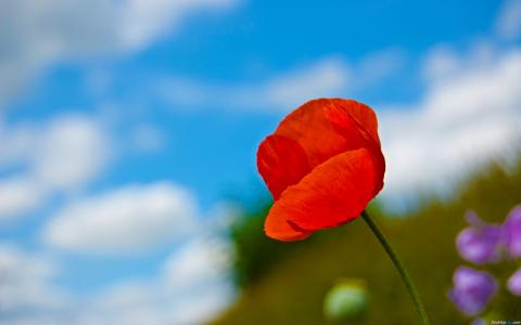 图片 _ 第(15)张