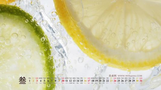 绿色护眼桌面壁纸之2013年3月日历桌面日历壁纸第3张