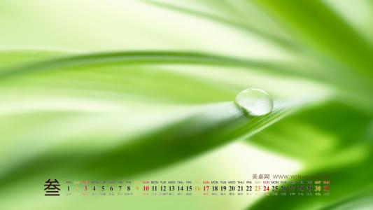绿色护眼桌面壁纸之2013年3月日历桌面日历壁纸第5张