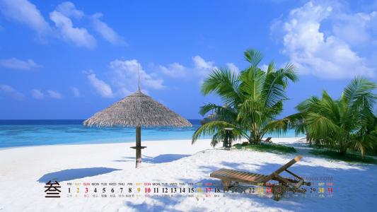 唯美静物微距特写风景宽屏桌面壁纸第5张