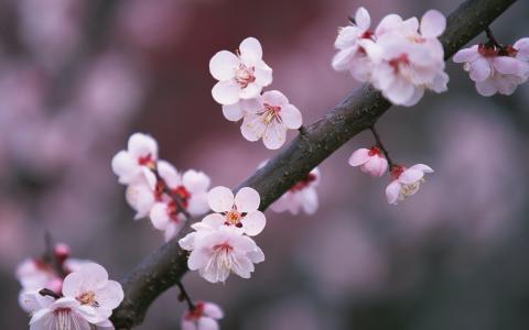 图片 _ 第(4)张