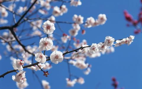 图片 _ 第(5)张