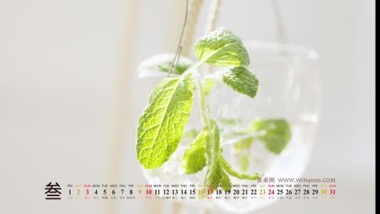 护眼壁纸图片 _ 第(4)张