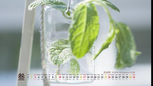 护眼壁纸图片 _ 第(5)张