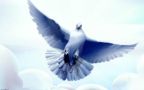 图片 _ 第(12)张