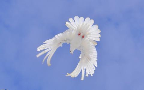 图片 _ 第(13)张