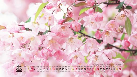2013年4月日历壁纸之安静的风景日历桌面第6张