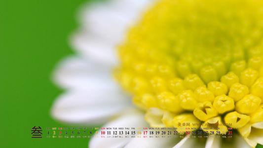 图片 _ 第(11)张
