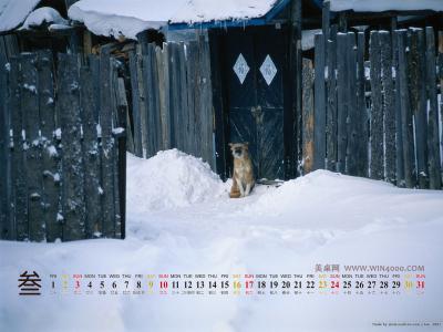 美丽雪景风光壁纸之2013年3月日历壁纸【2】第4张