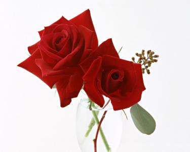 图片 _ 第(15)张
