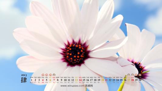 美丽雪景风光壁纸之2013年3月日历壁纸【2】第5张