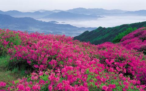 图片 _ 第(9)张