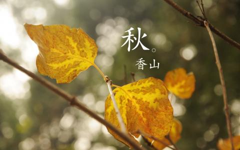 第1张