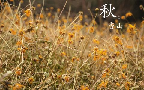 第3张