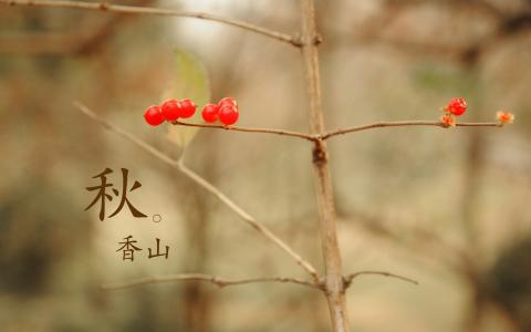 唯美意境高清风景怡人桌面壁纸第4张