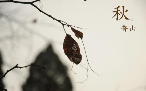 唯美意境高清风景怡人桌面壁纸第5张