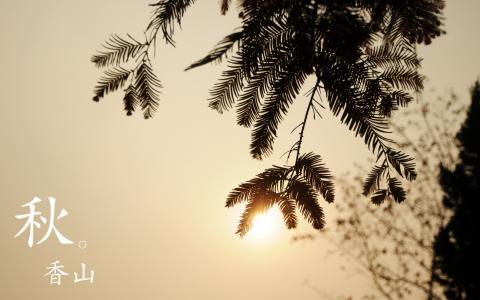 唯美意境高清风景怡人桌面壁纸第6张