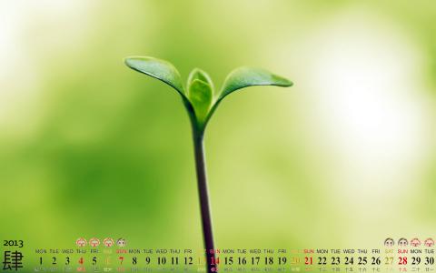 2013年5月风景日历高清壁纸第5张