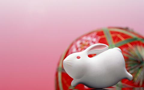 图片 _ 第(12)张