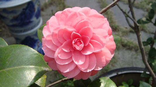 图片 _ 第(15)张