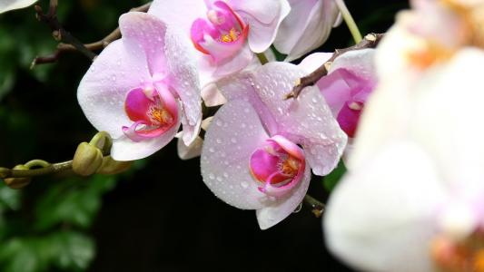 2013年5月唯美风景日历壁纸第1张