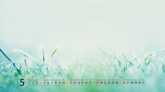 德国海岸海滩沙滩桌面壁纸之高清风景第6张