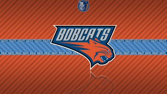 NBA球星图片 _ 第(4)张