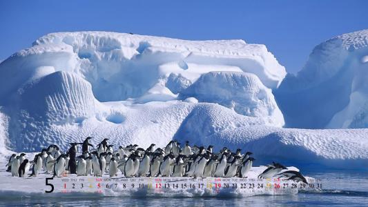 下雪第0张