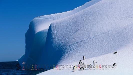 下雪第1张