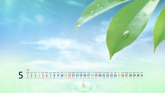 2013年5月风景桌面日历之养眼绿色第6张
