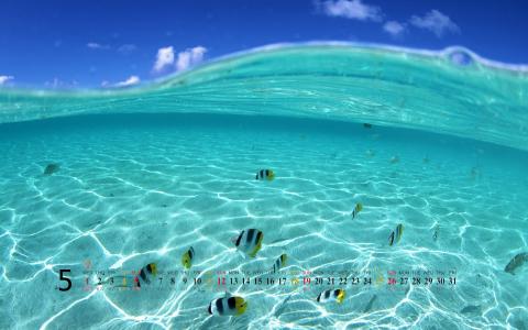 2013年10月精选大海风景日历壁纸第1张