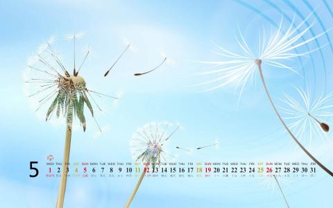 2013年5月唯美风景日历壁纸第4张