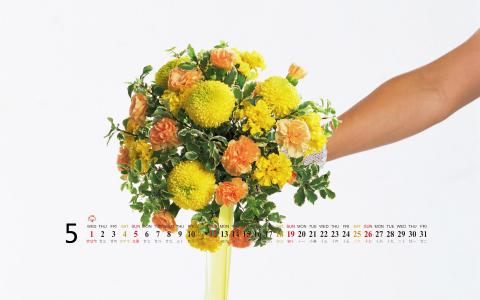 花束图片图片 _ 第(5)张